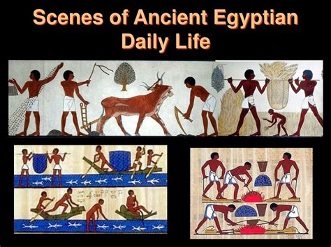 The sacred nagic of ancient egypt